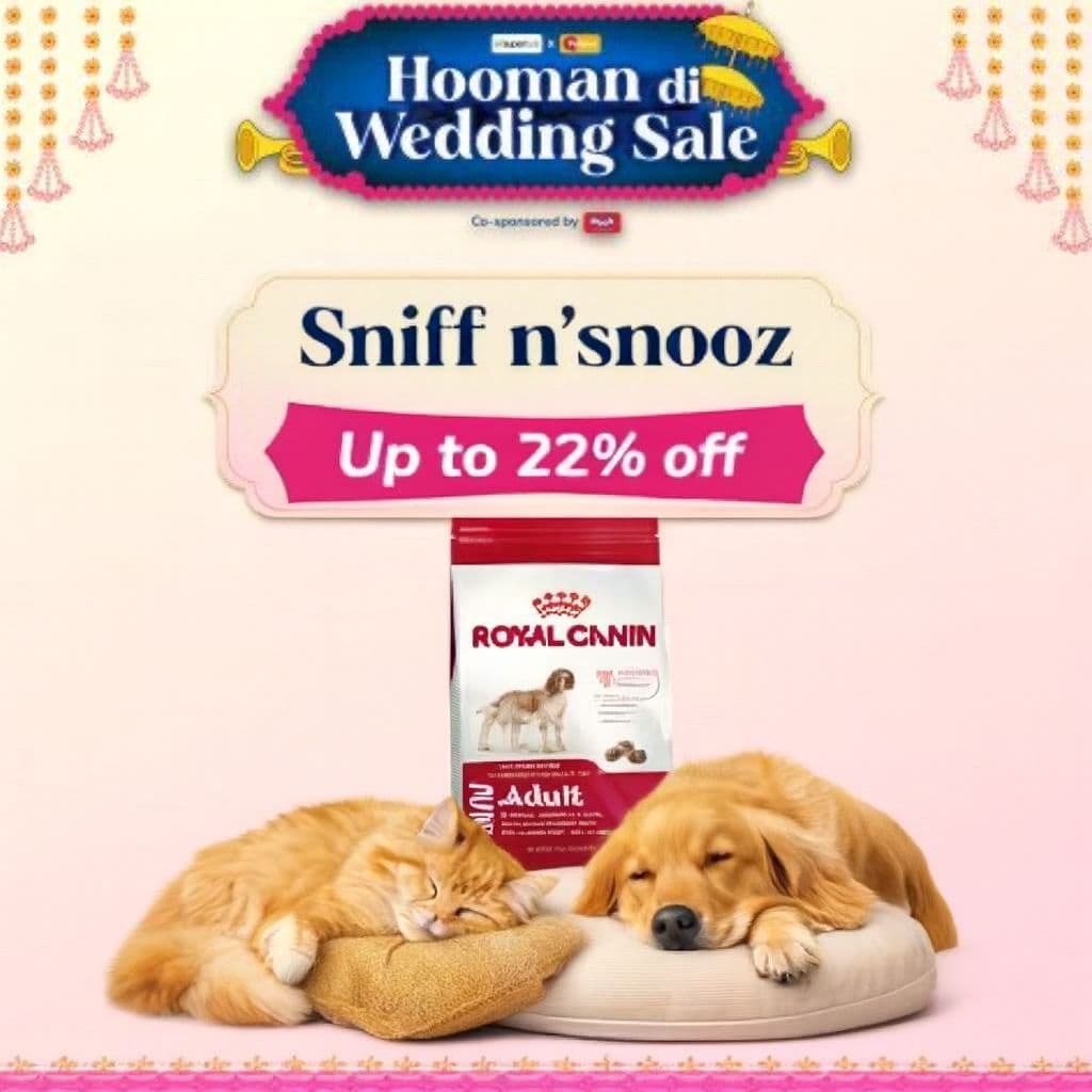 Organic Pet Products in Gurgaon, Haryana – A Natural Choice for Healthier Pets