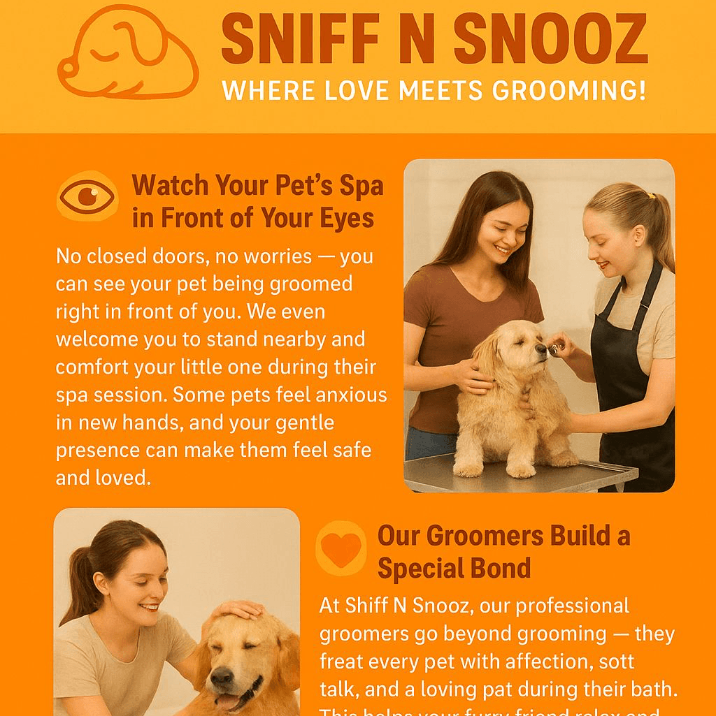 🐾✨ Welcome to Sniff N Snooz Where Love Meets Grooming! ✨🐾