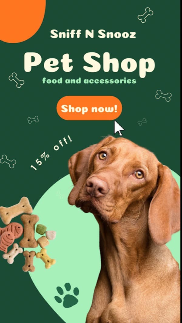 Pet Grooming Packages and Offers in Gurgaon, Haryana – Value with Consistent Care