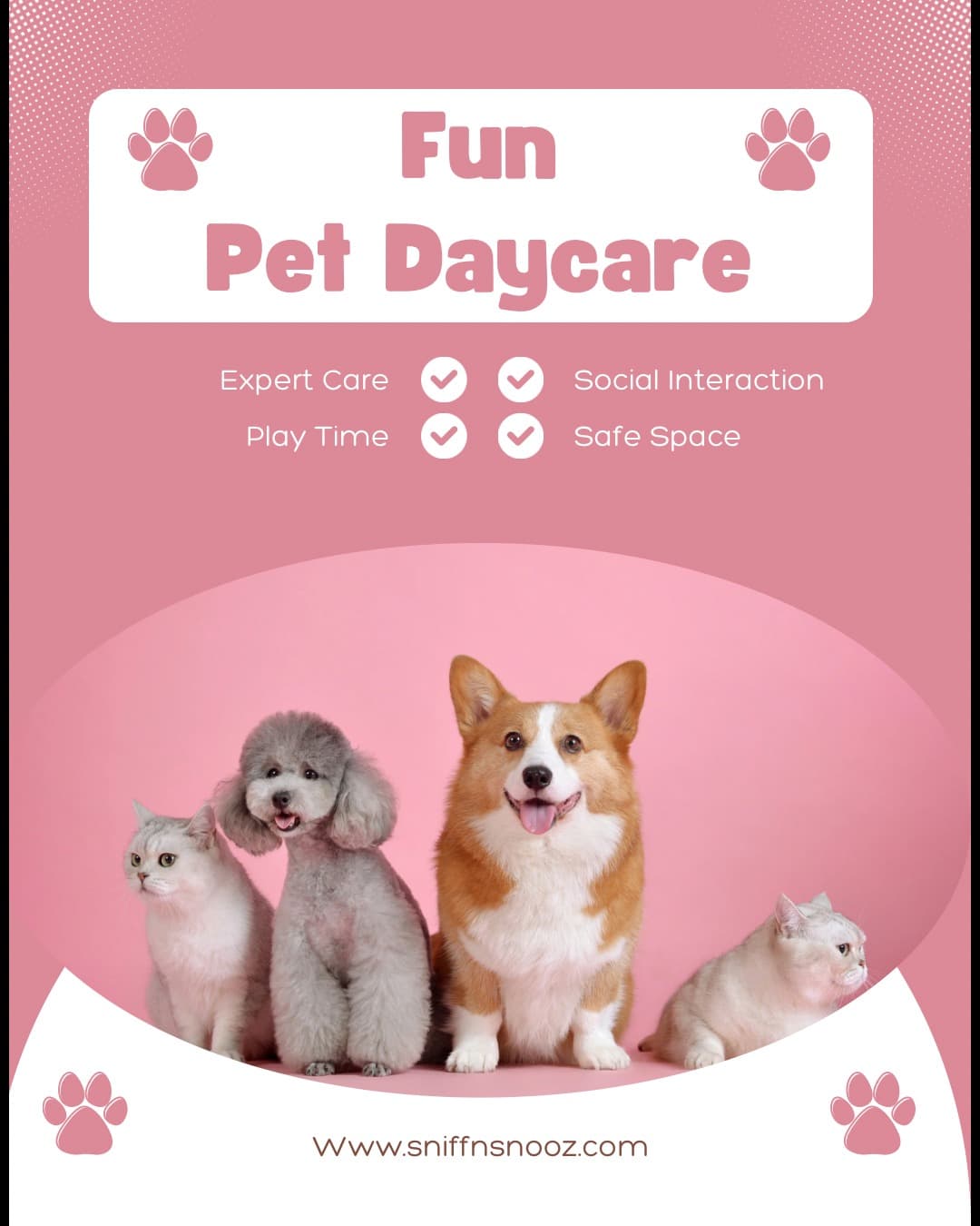 Pet Wellness And Care In Gurgaon, Haryana – Beyond Grooming, Into Healthy Living