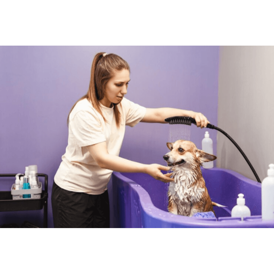 Pet Bathing and Haircuts in Gurgaon, Haryana – Cle...
