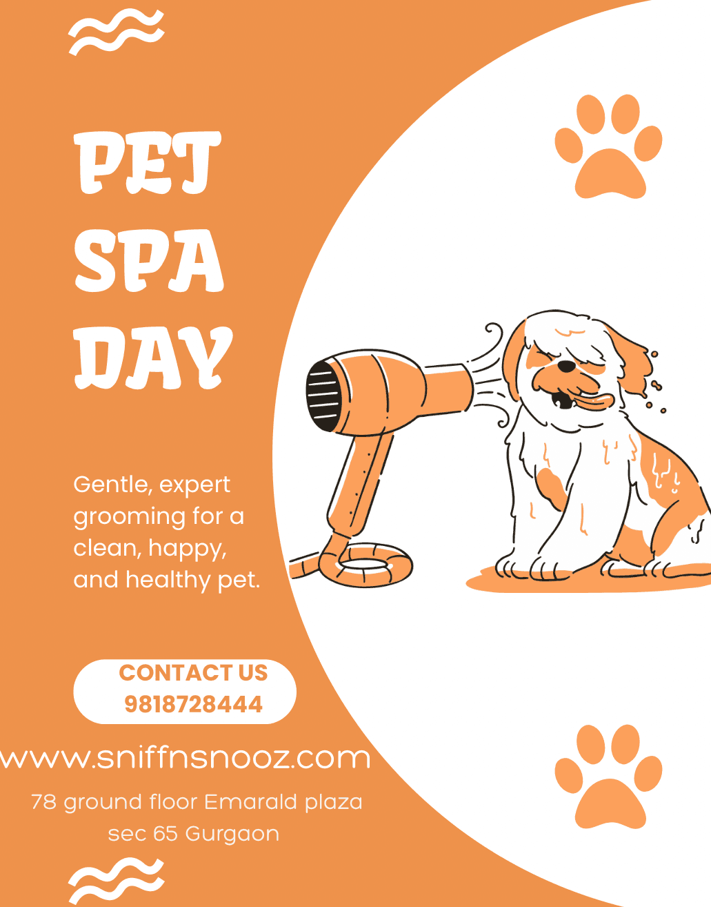 Where Clean Meets Calm – How Sniff n Snooz Creates...