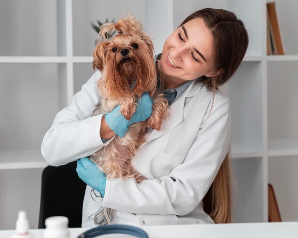 Luxury Pet Care in Gurgaon, Haryana – A Thoughtful Way to Pamper Your Pet
