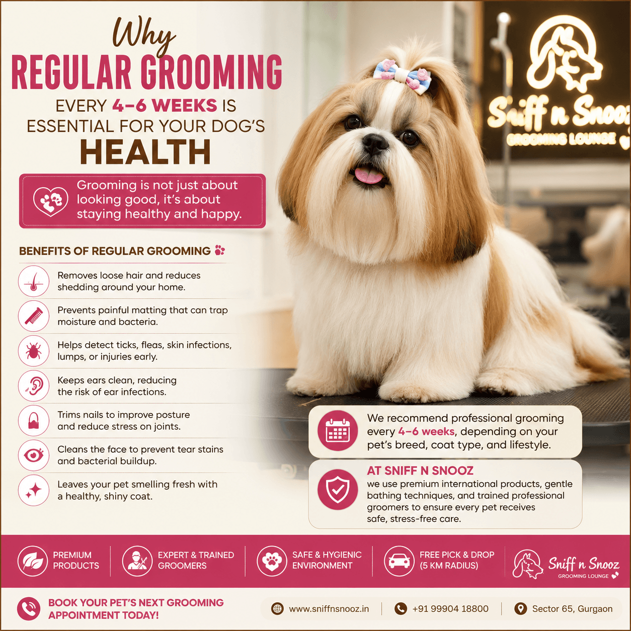Why Regular Grooming Every 4–6 Weeks Is Essential for Your Dog’s Health