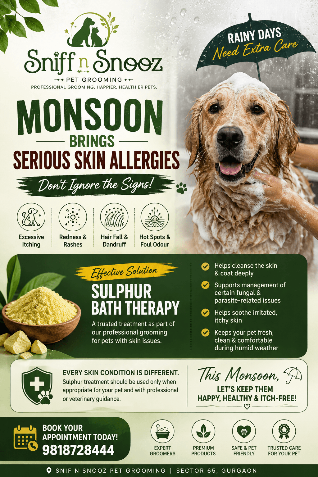 Pet Grooming & Spa in Gurugram — Sniff N Snooz