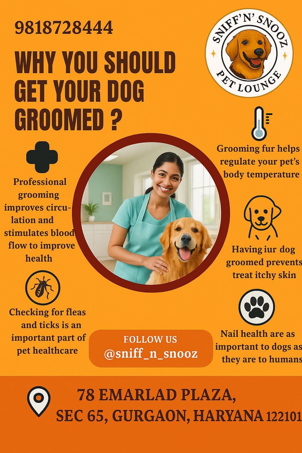 🐾 Grooming Is More Than Just a Bath At Sniff N Snooz,