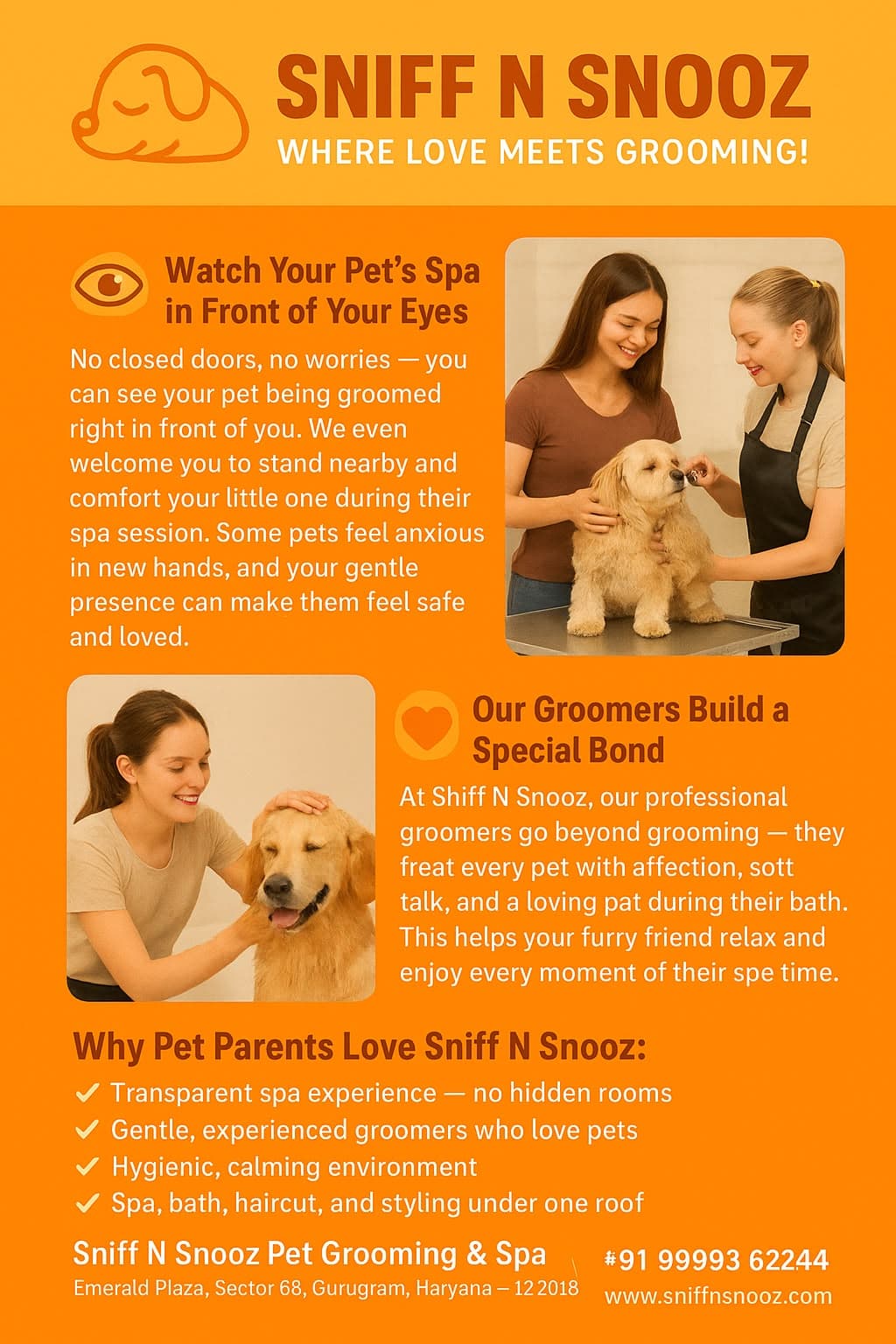 🐾 YOUR PET DESERVES MORE THAN JUST A BATH! 🐾