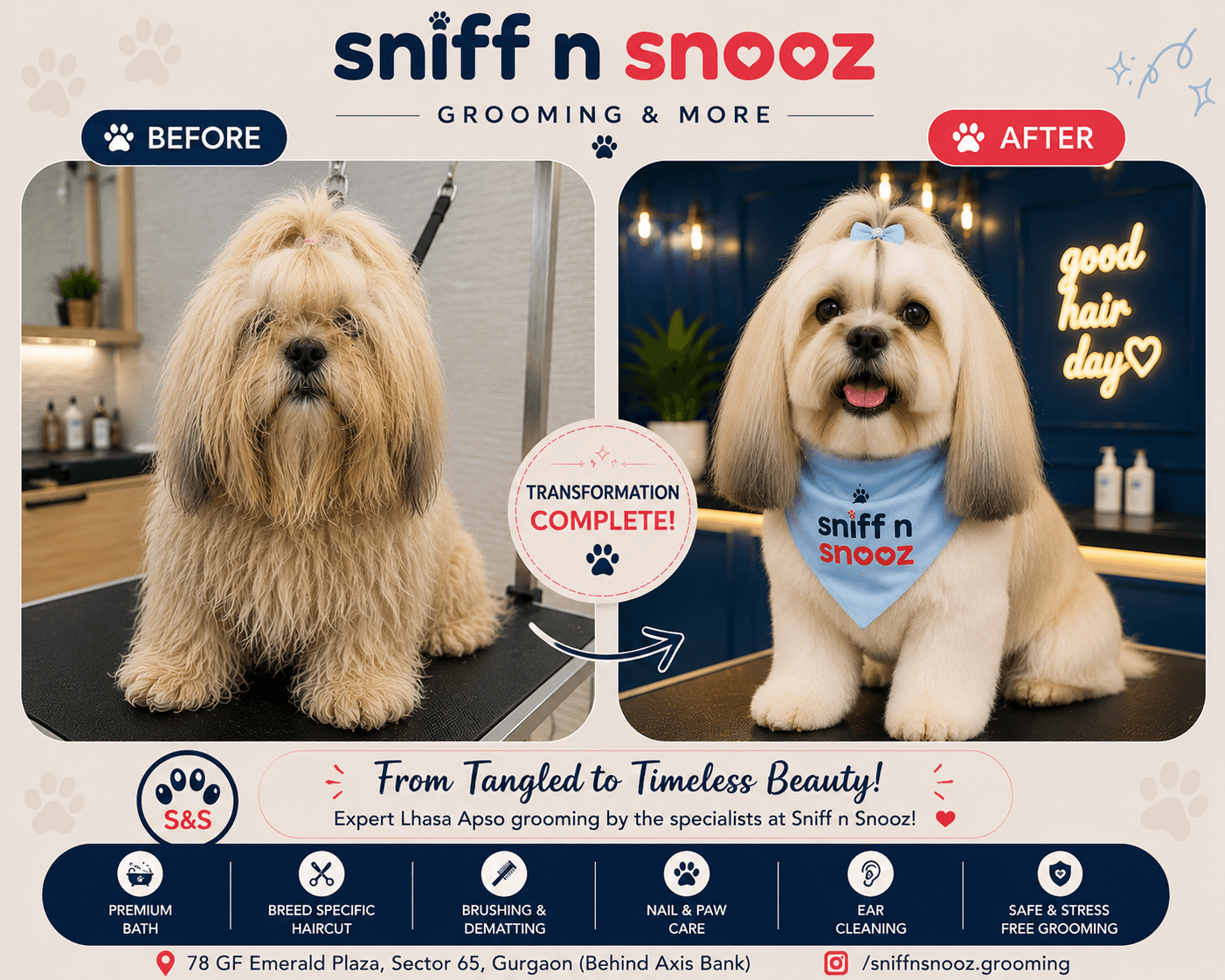 Lhasa Apso Grooming Transformation – From Tangled to Timeless Beauty