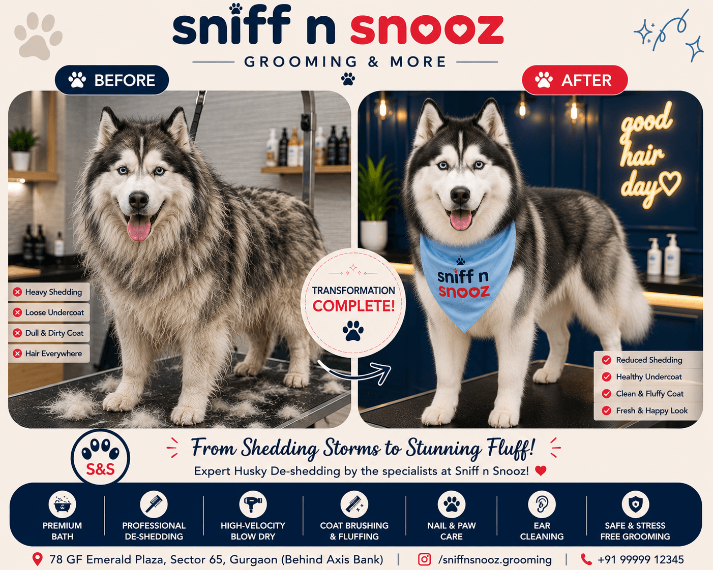 Husky De-shedding Transformation – From Blowing Coat to Beautifully Fluffy