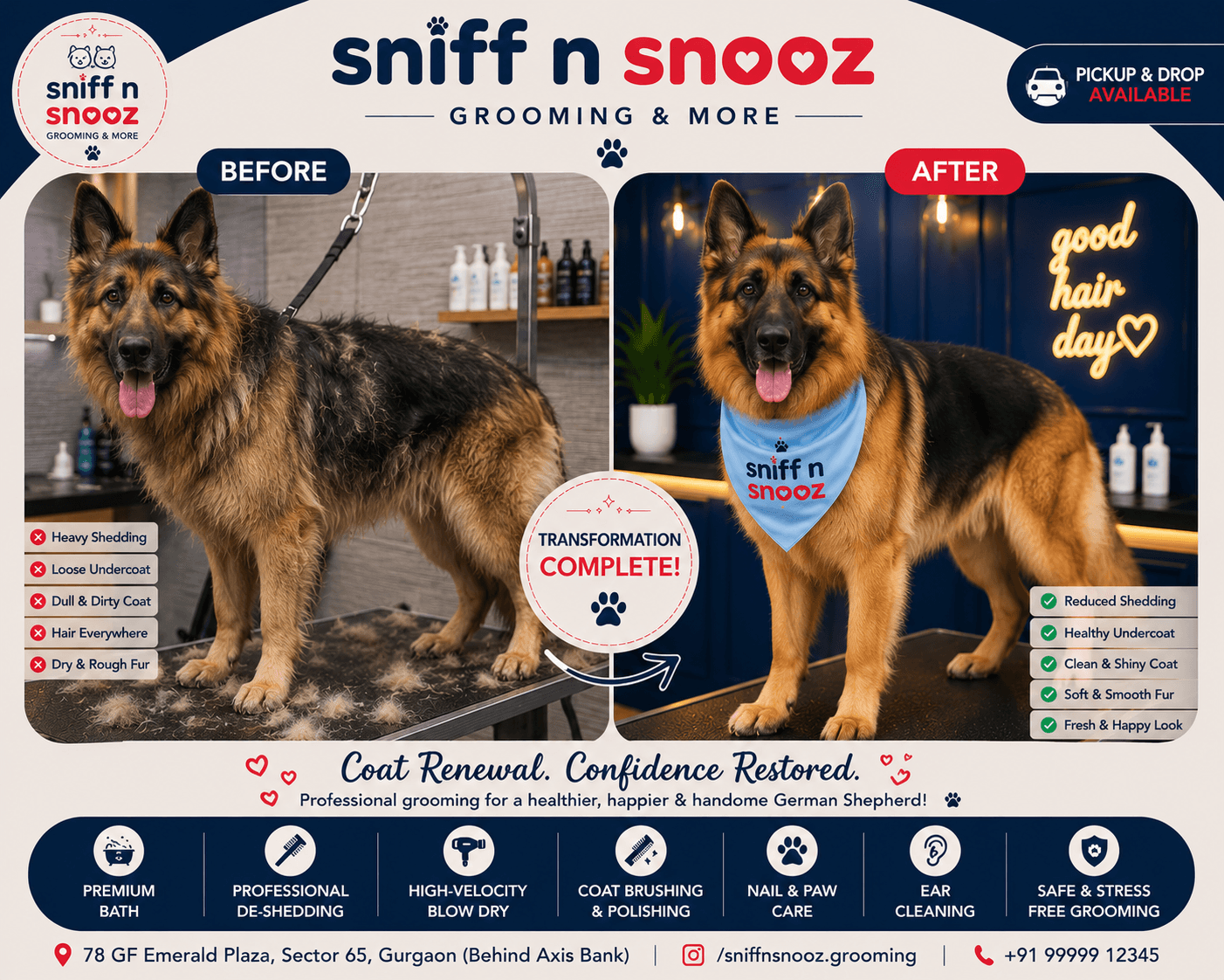 German Shepherd Coat Renewal – From Heavy Shedding to a Strong, Healthy Coat