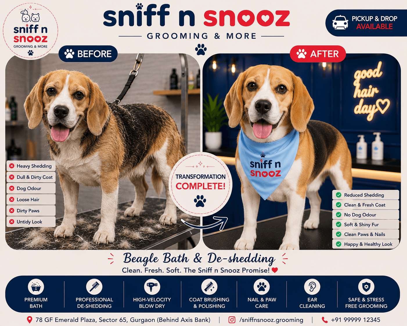 Beagle Bath & De-shedding Transformation – From Shedding & Smelly to Fresh, Soft & Happy