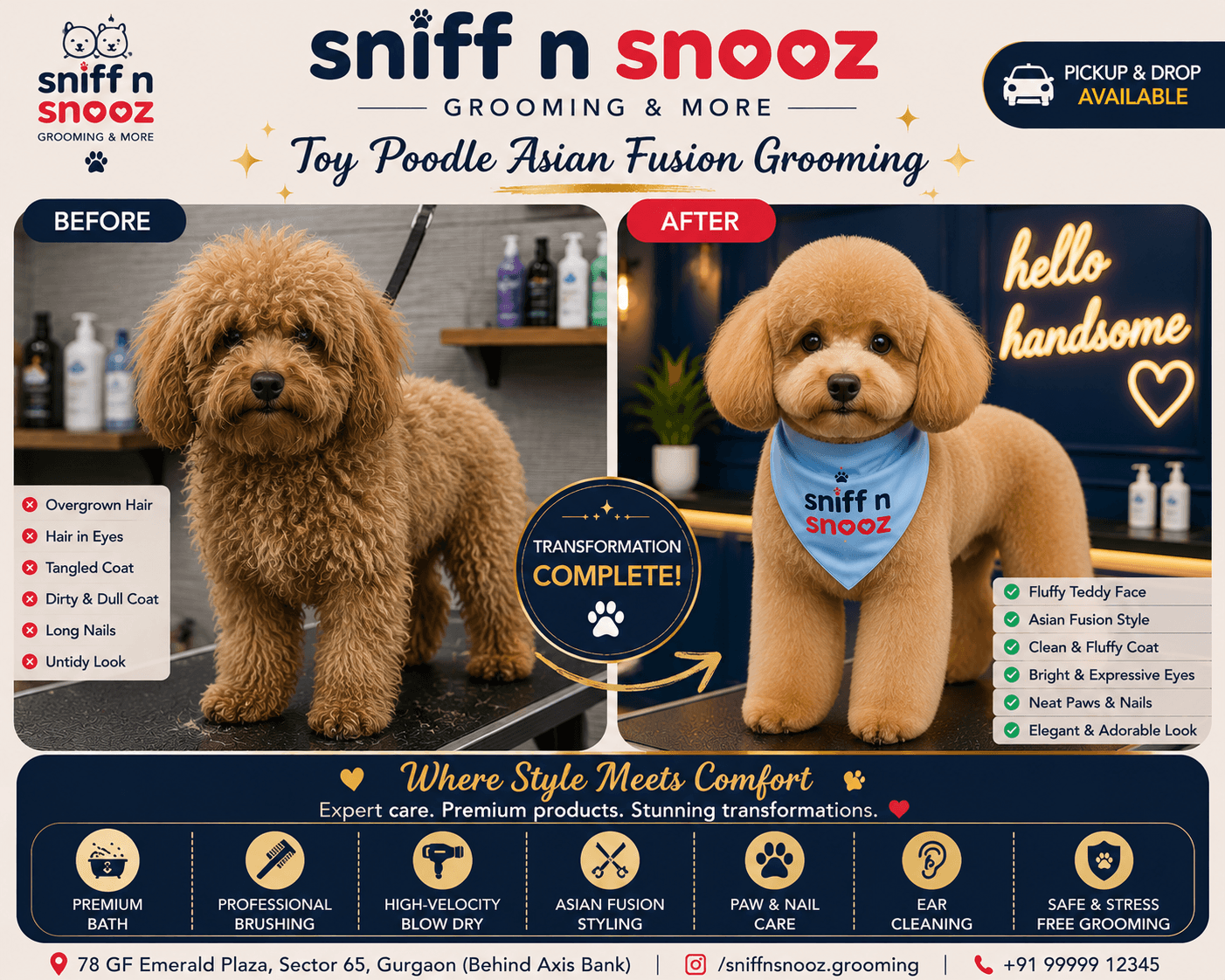 Toy Poodle Asian Fusion Grooming – The Ultimate Stylish Transformation